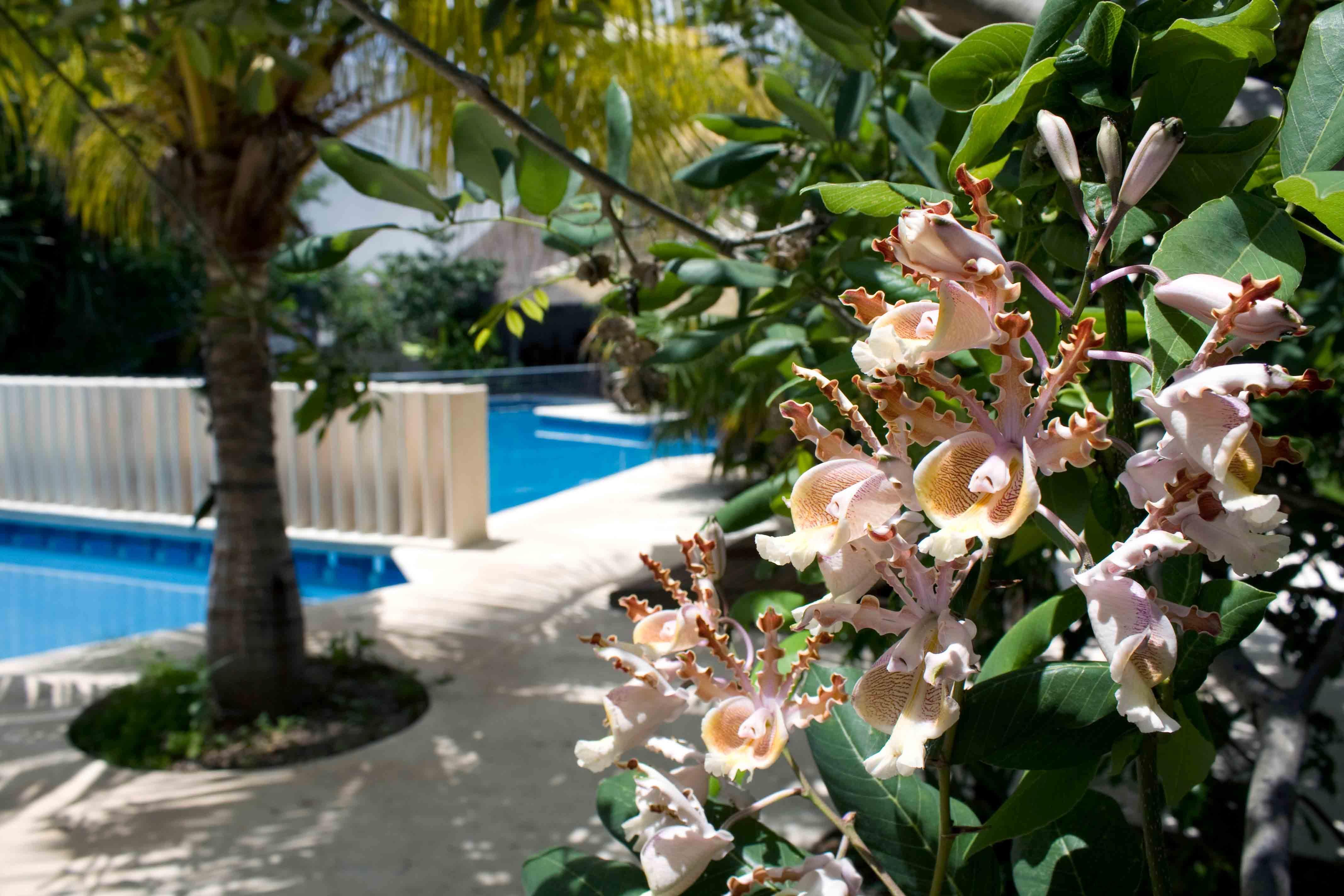 Sotavento Hotel & Yacht Club Cancún Exterior foto