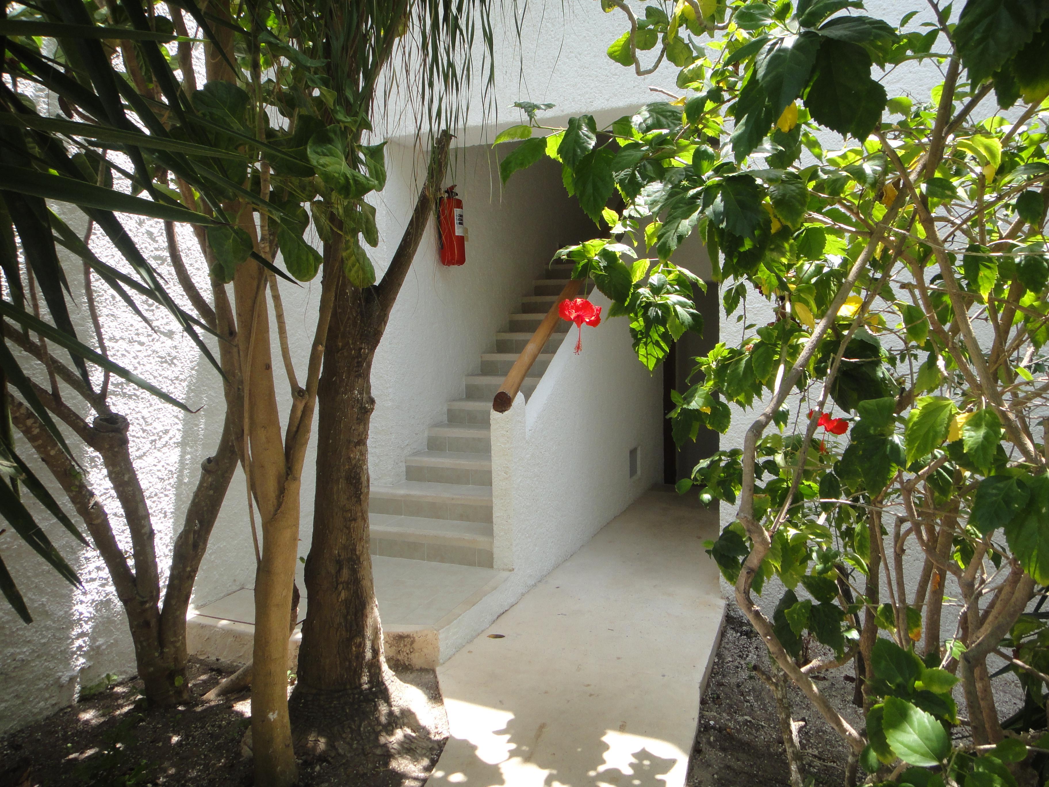 Sotavento Hotel & Yacht Club Cancún Exterior foto